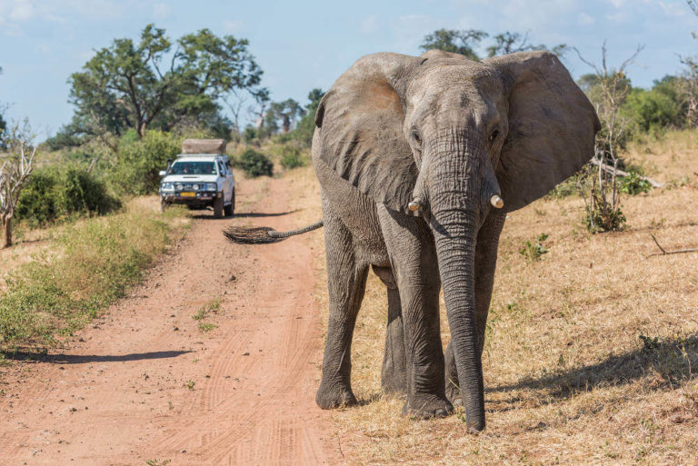 Vervoer in Botswana