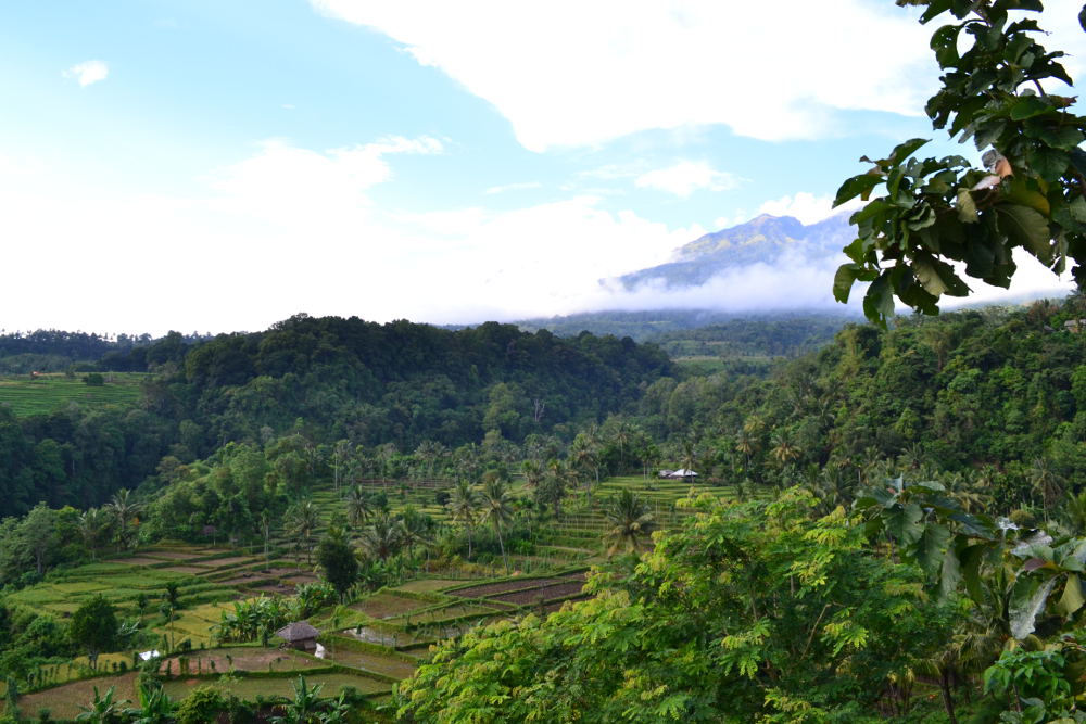 Gunung Rinjani