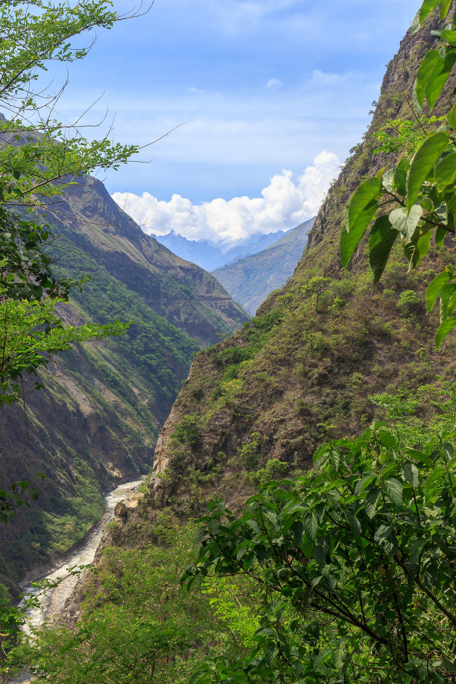 Inca trail