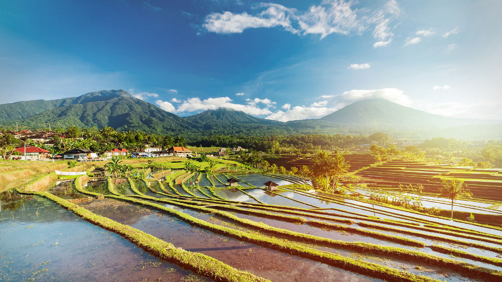 Jatiluwih op Bali