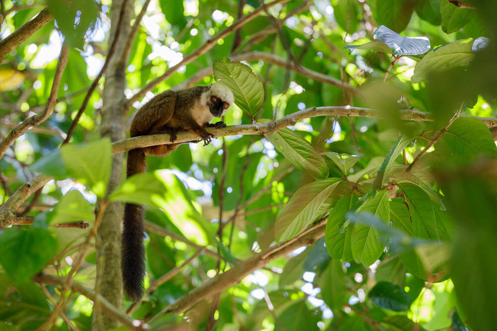 Masoala National Park