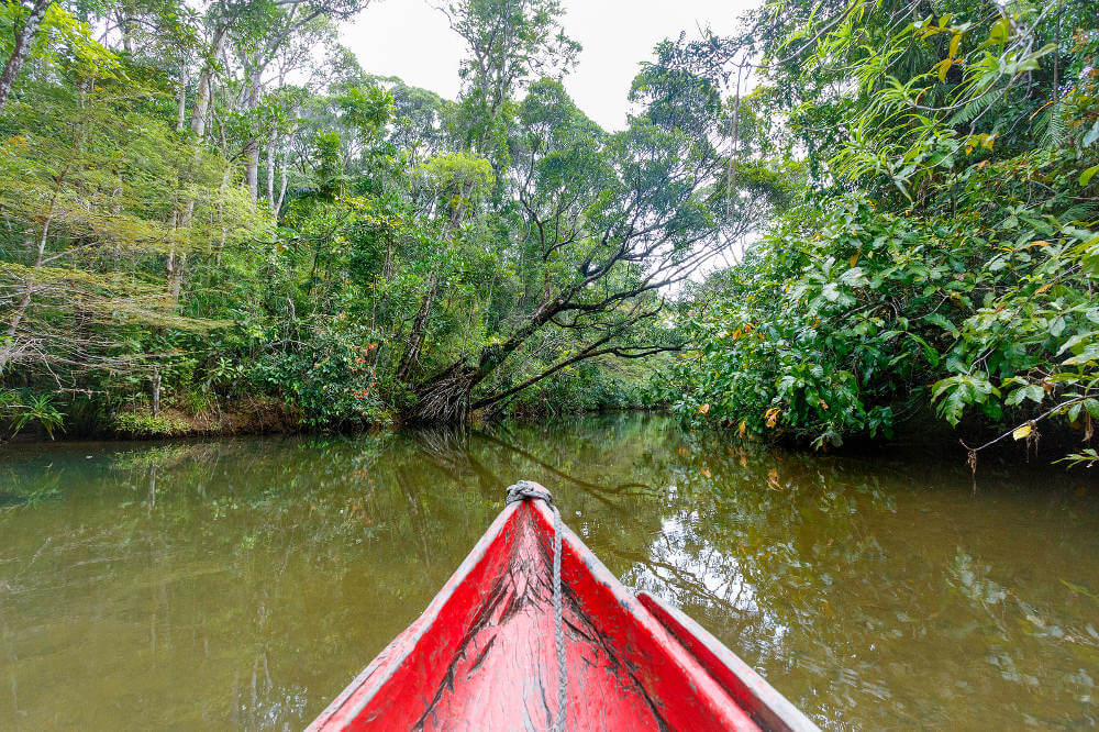 Masoala National Park