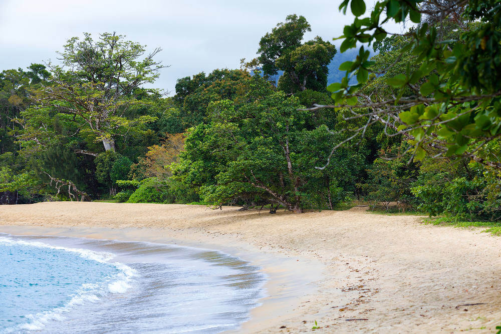 Masoala National Park