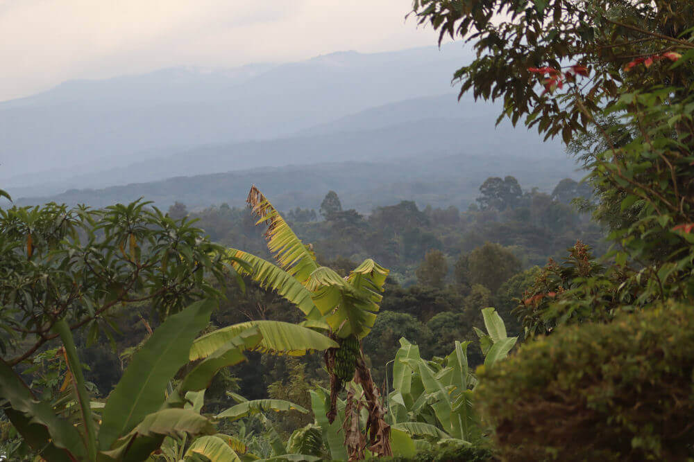 Natuur in Tanzania