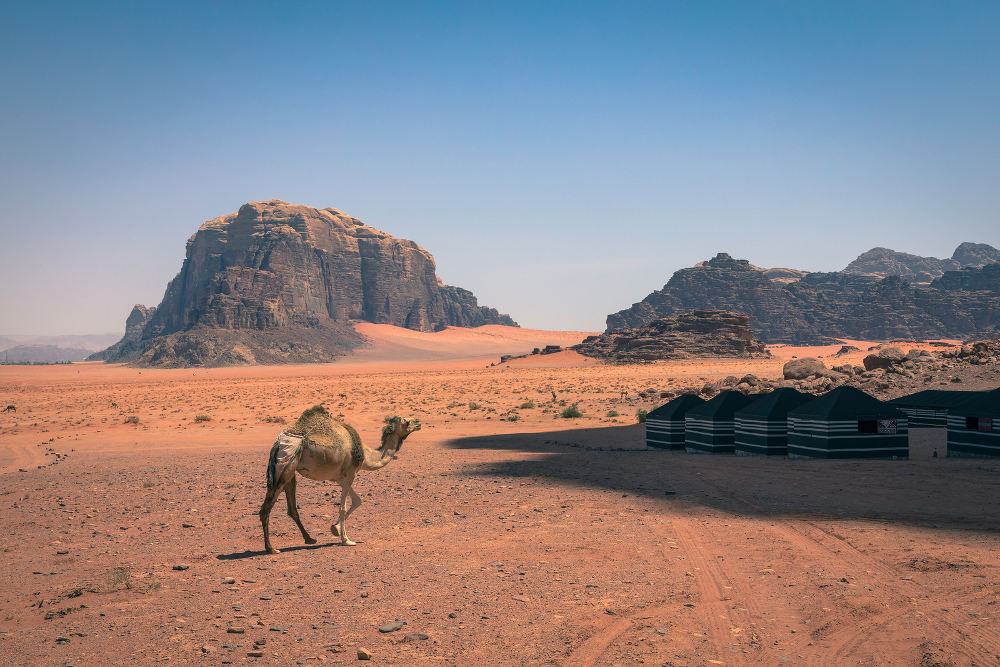 Budget voor Jordanië