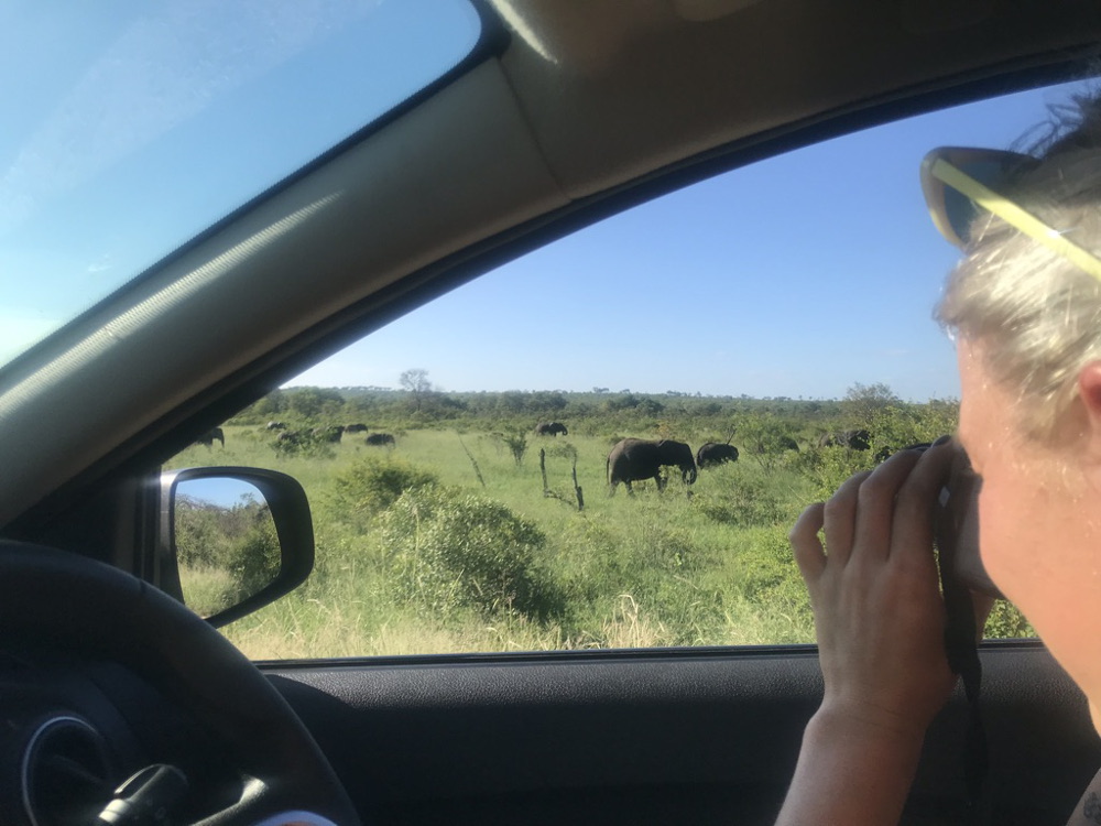 Addo Elephant Park