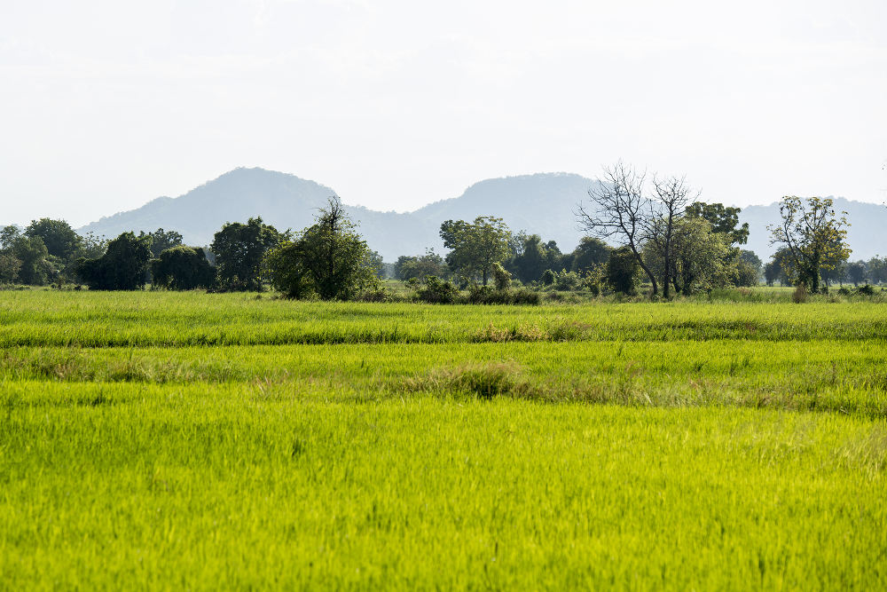 Battambang