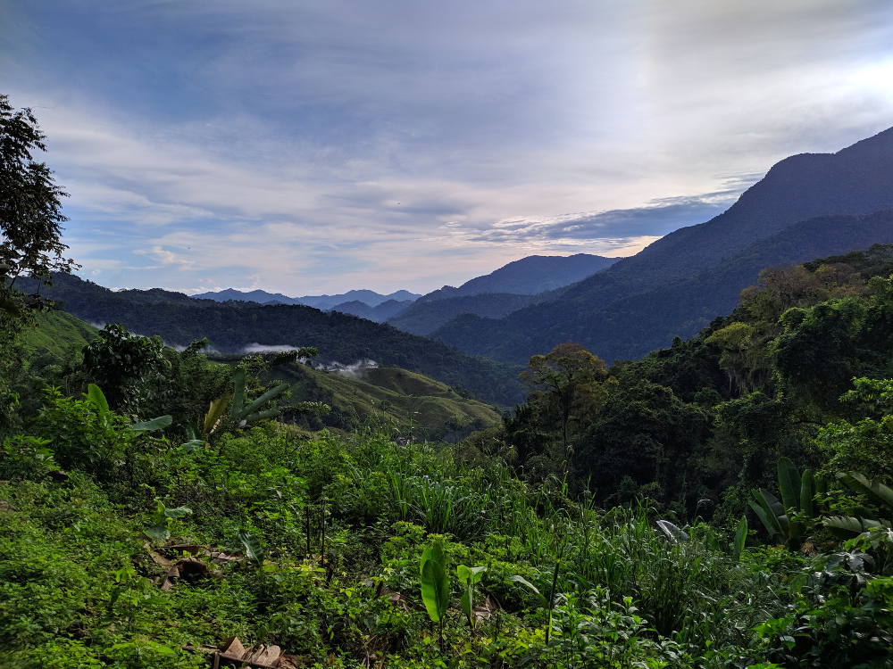 Bergen Colombia