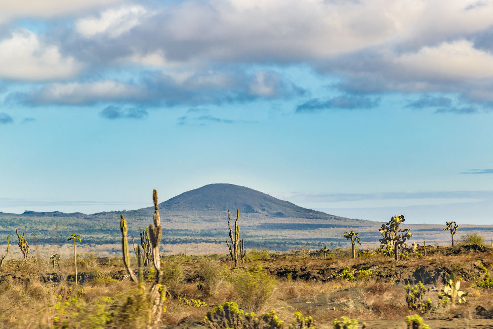 Sierra Negra Volcano