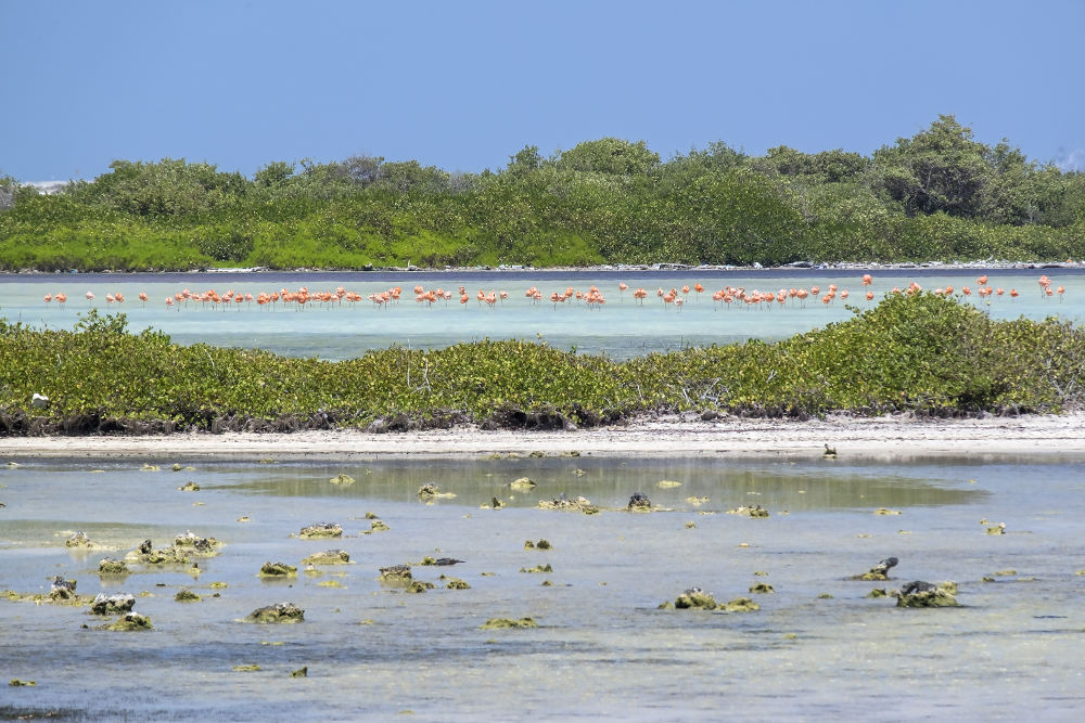 activiteiten op Bonaire