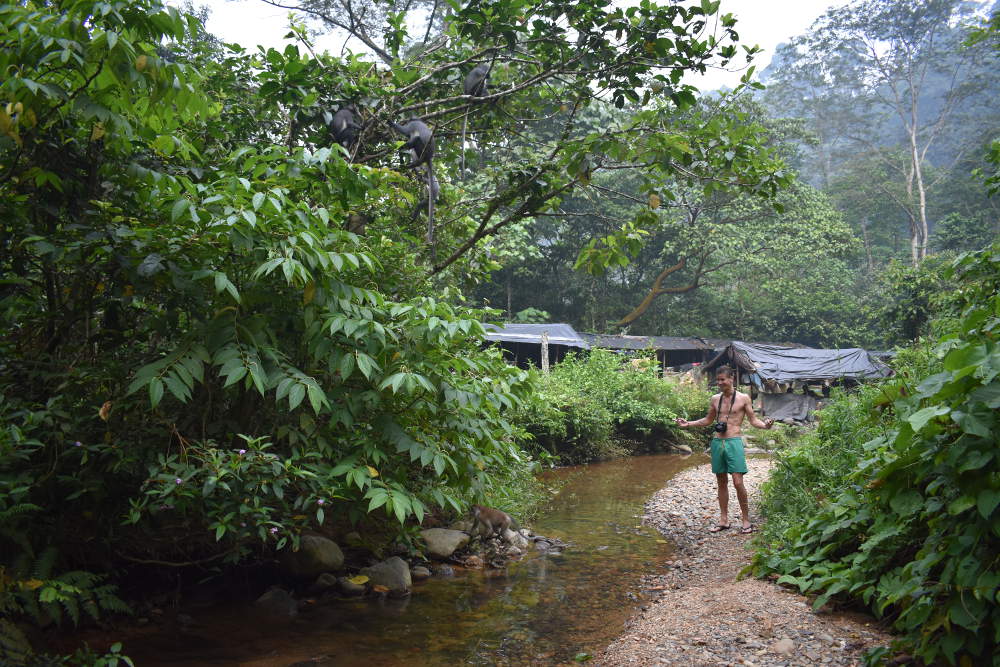 Bukit Lawang, Sumatra