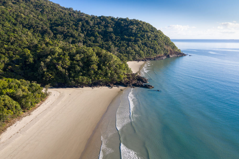 Daintree Rainforest