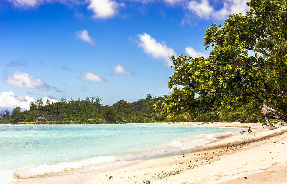 Vakantie naar de Seychellen