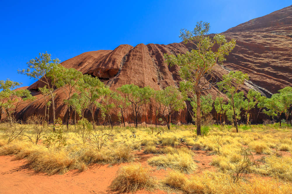 Uluru