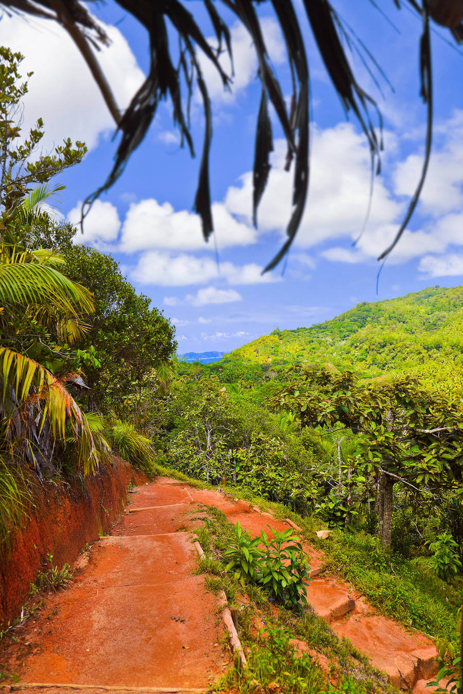 Vallee de Mai