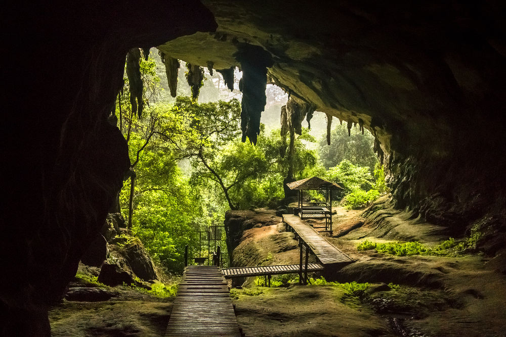 Borneo Niah park