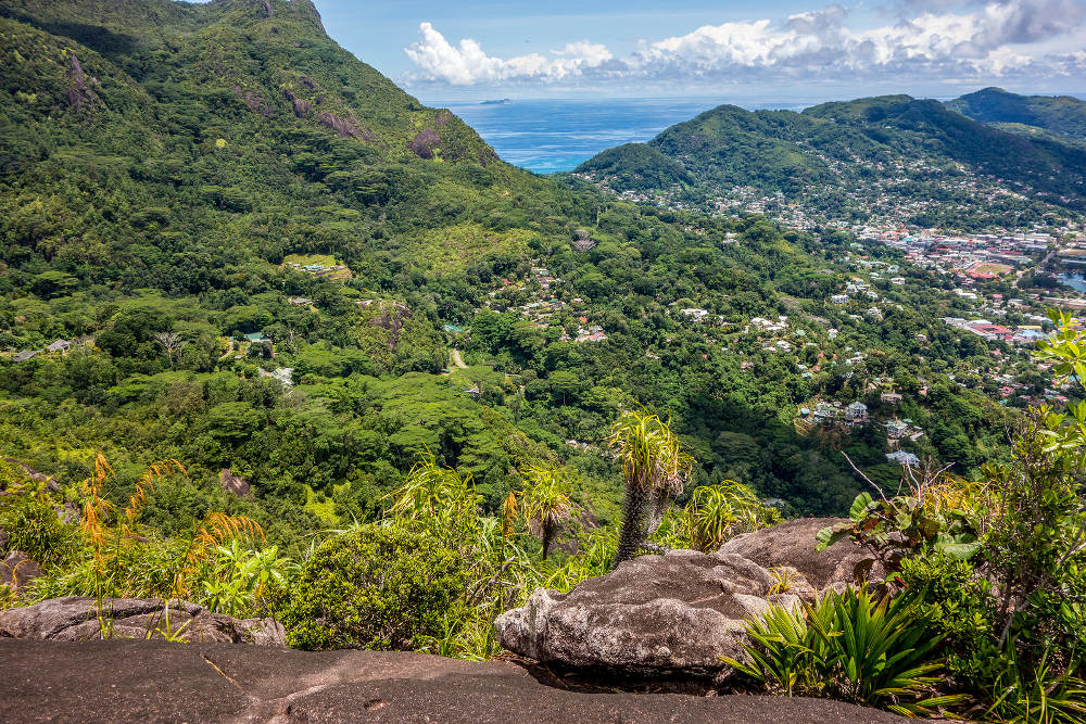 Morne Seychellois