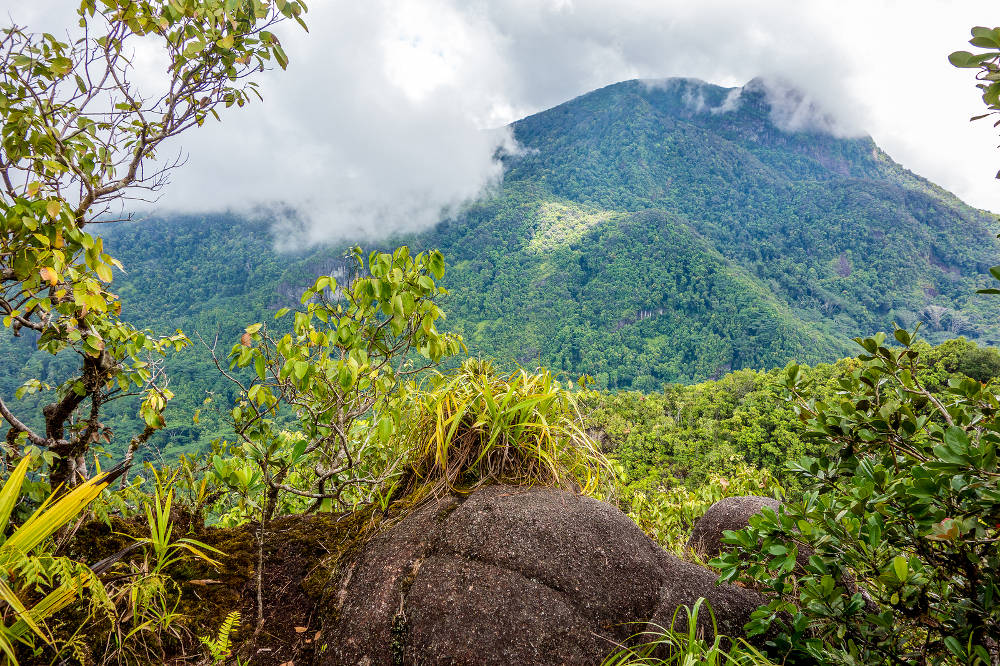 Morne Seychellois