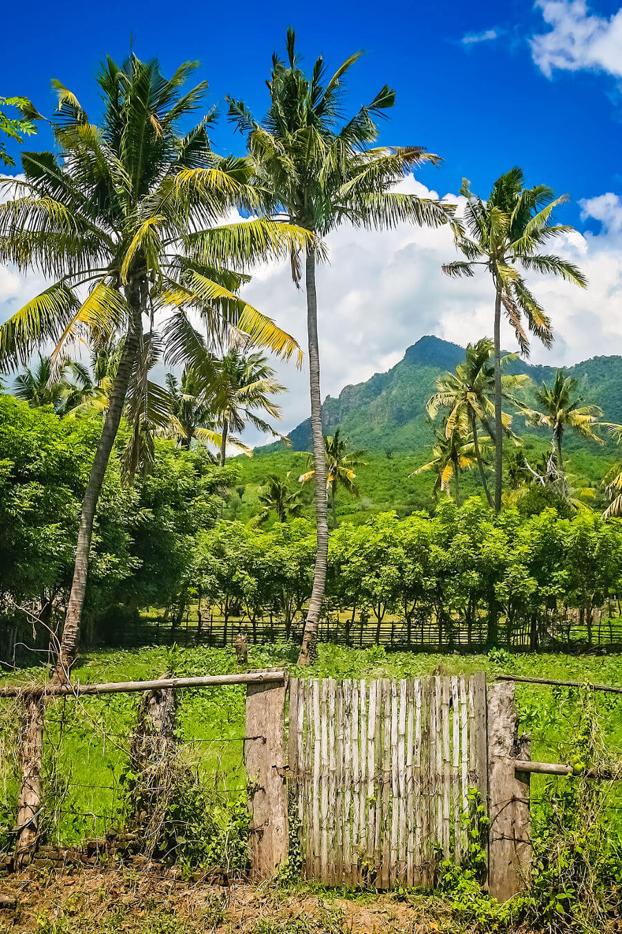 Landschap Sumbawa