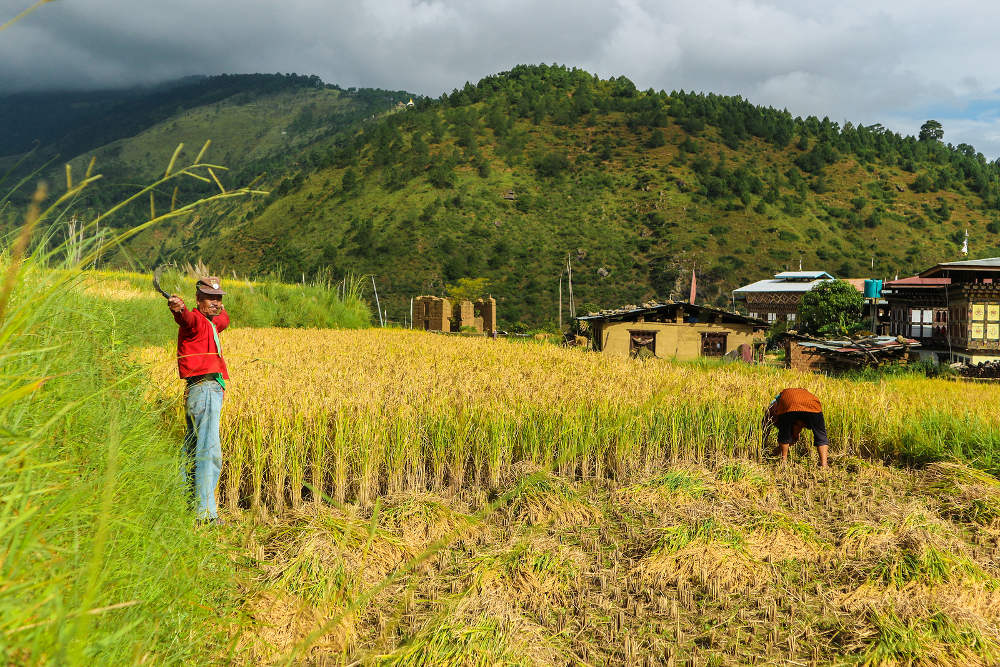 Rondreis in Bhutan