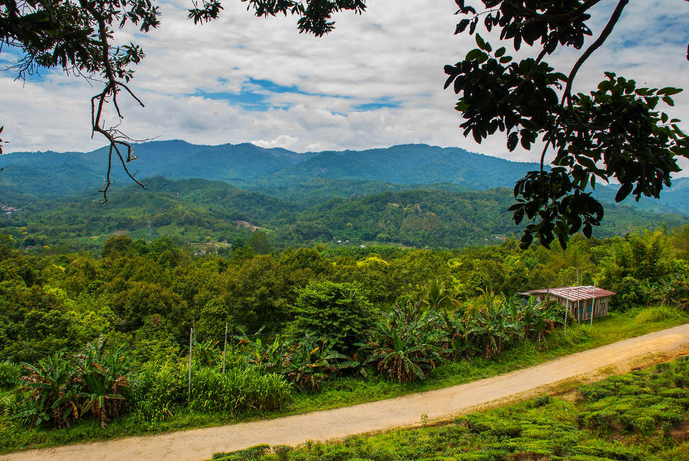 Vervoer op Borneo