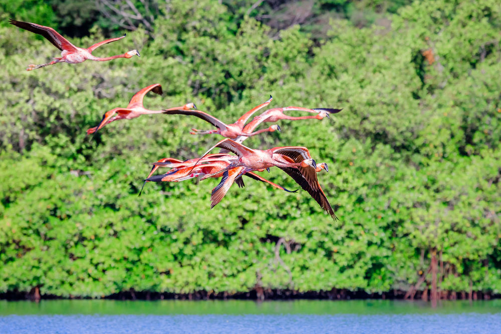 Guanaroca Lagoon