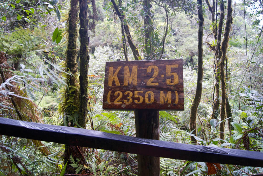 Halverwege de beklimming Mount kinabalu