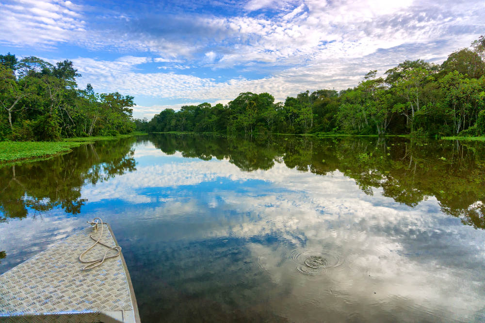 Boot Cruise Jungle