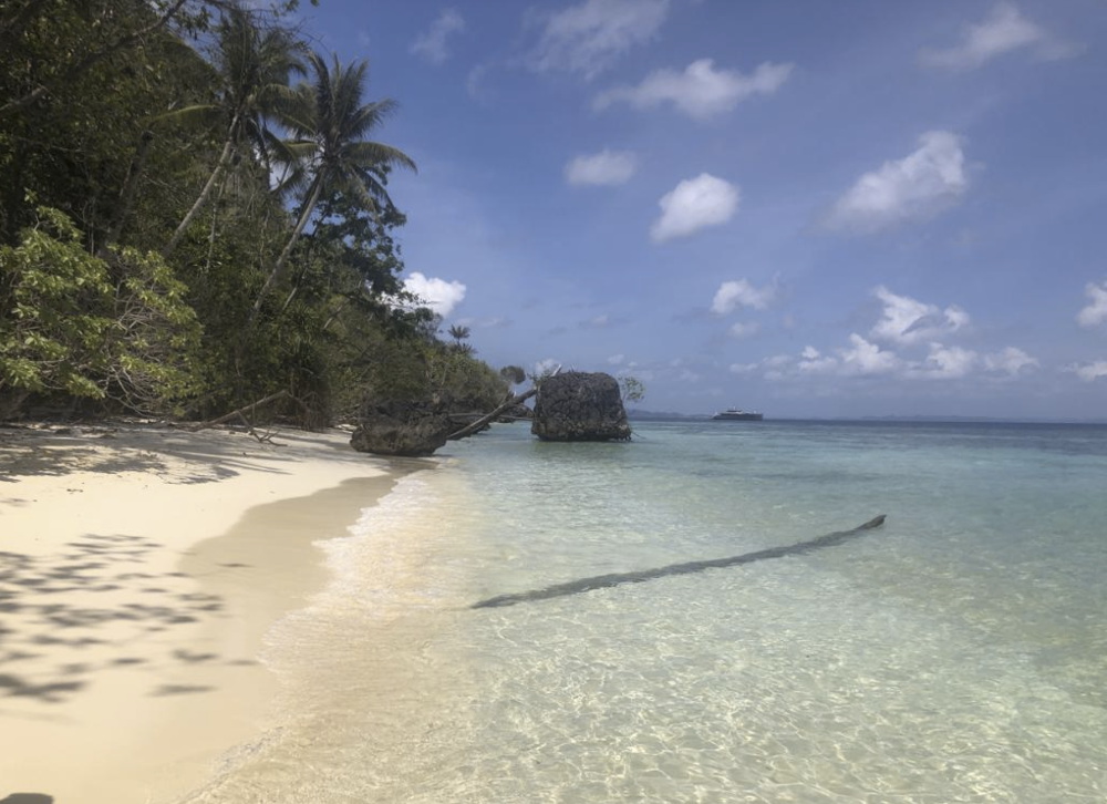 Misool Raja Ampat Indonesië