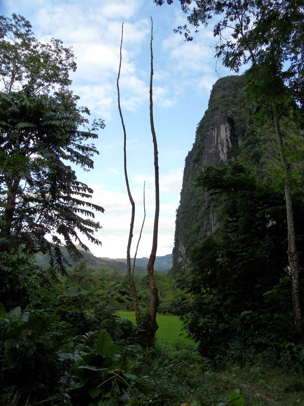 Pha Tok cave Nhong Khaiw Laos.