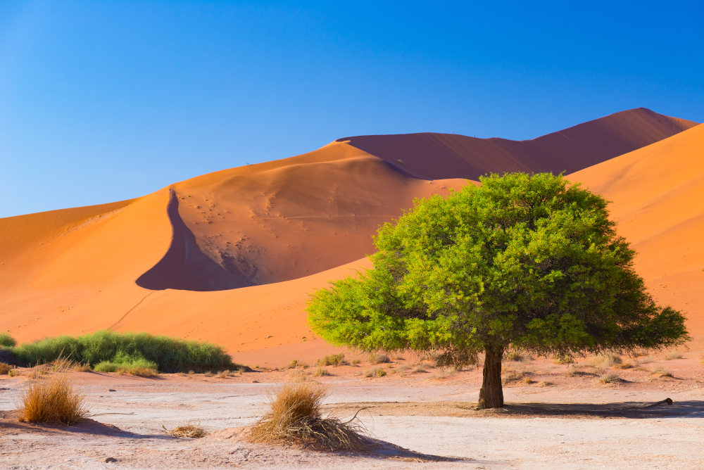 Sossusvlei Route-Namibie-