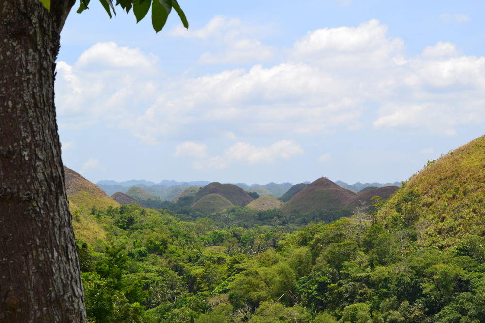 Bohol