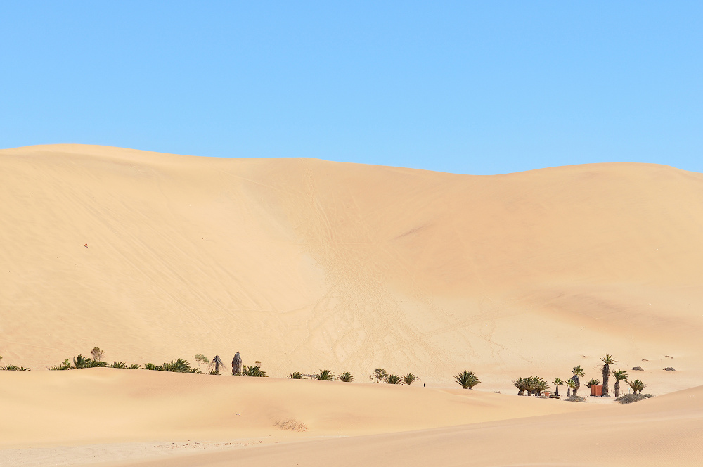 Dune 7