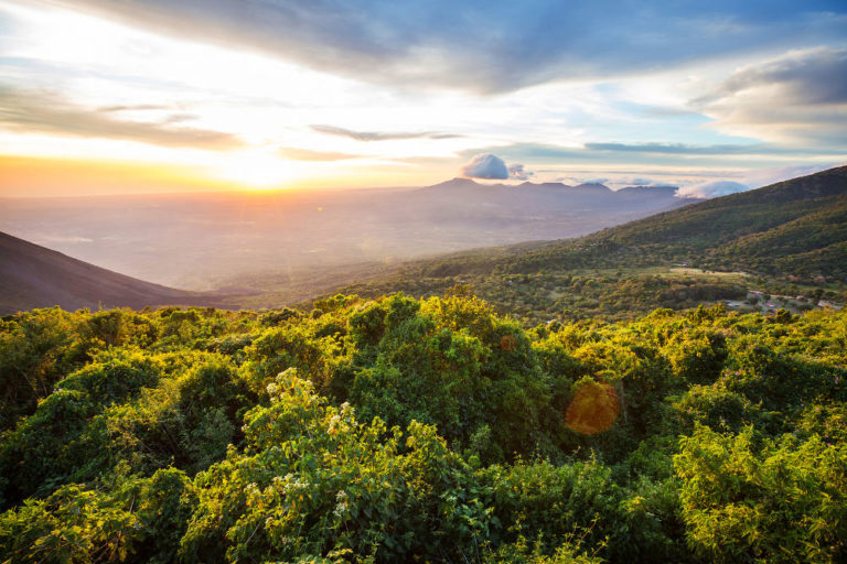 Cerro Verde National Park