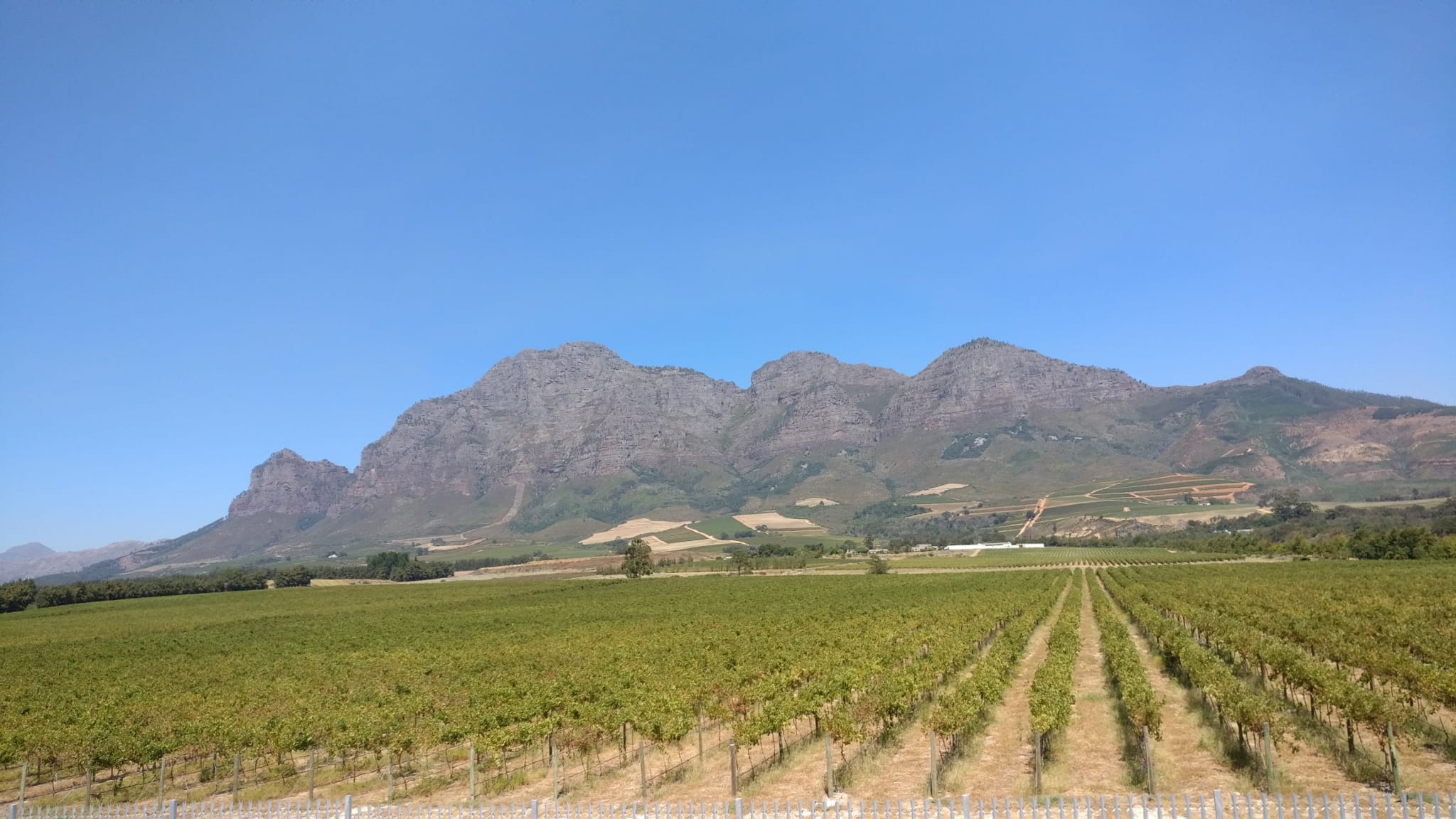 Franschhoek