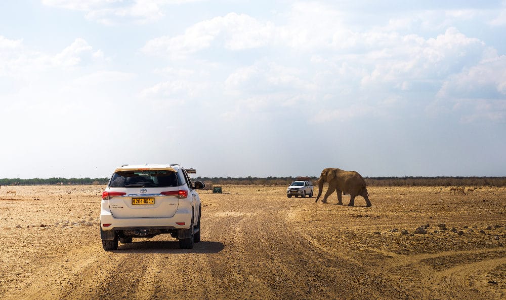 wegen Etosha National Park