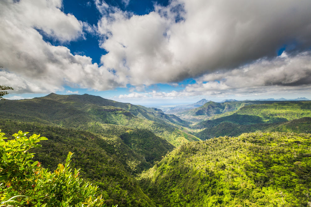 Black River Gorges