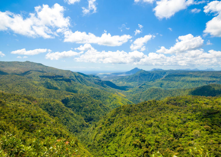 Black River Gorges