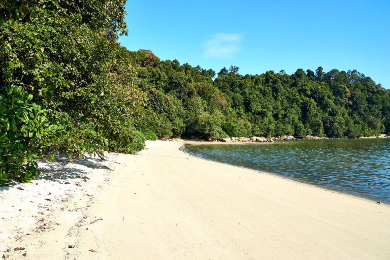 Penang National Park