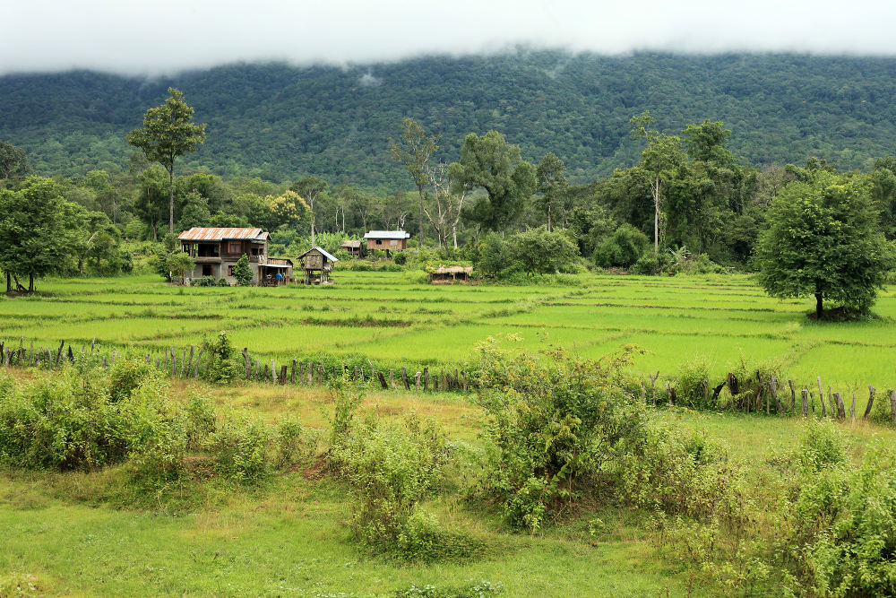 Bolaven Plateau