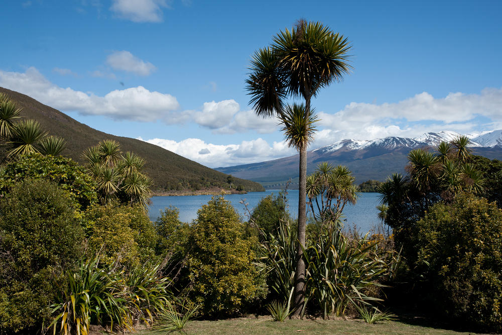 Lake Rotopounamu