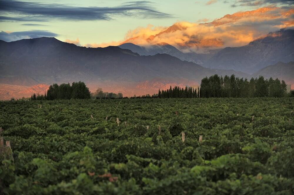 Mendoza