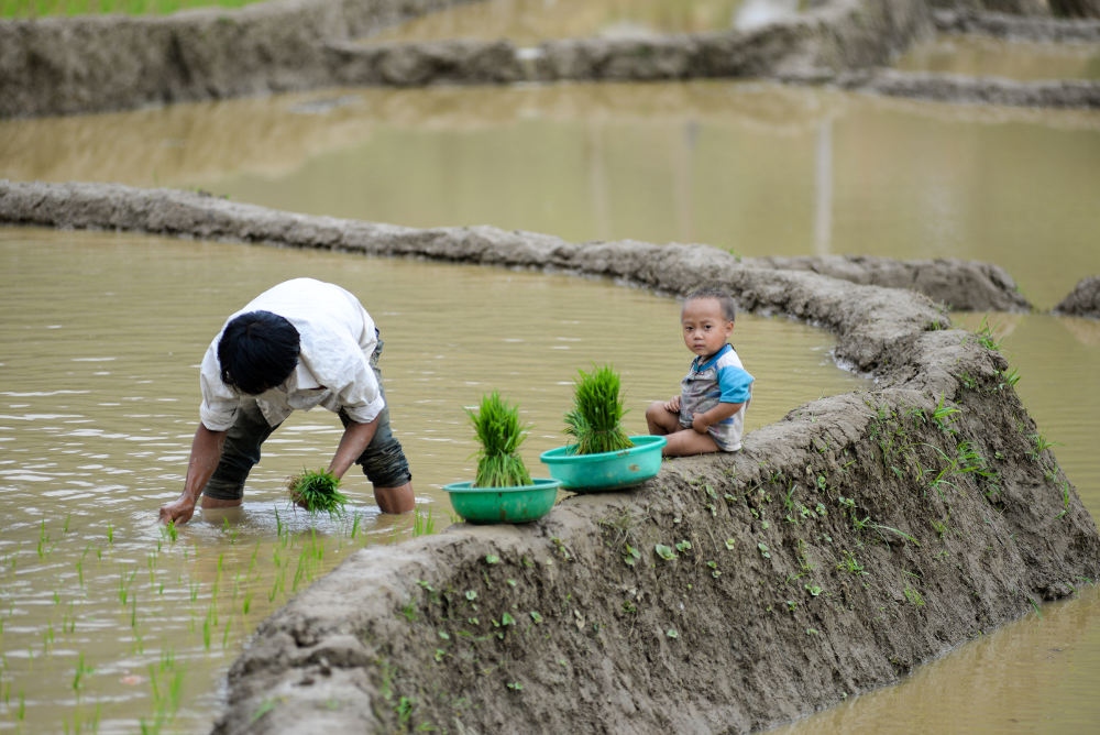 Mu Cang Chai