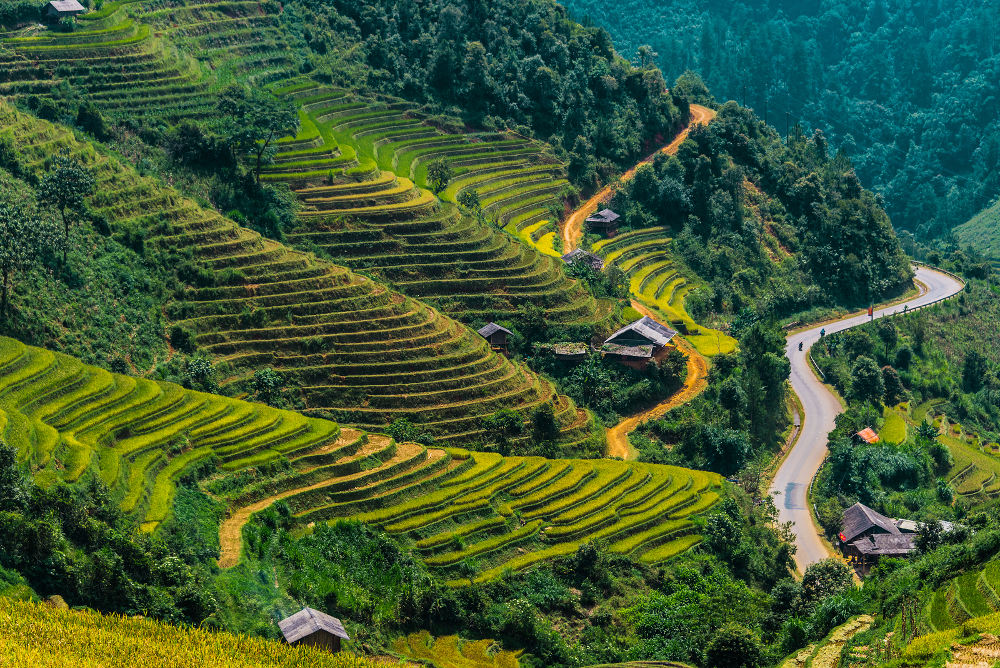 Mu Cang Chai