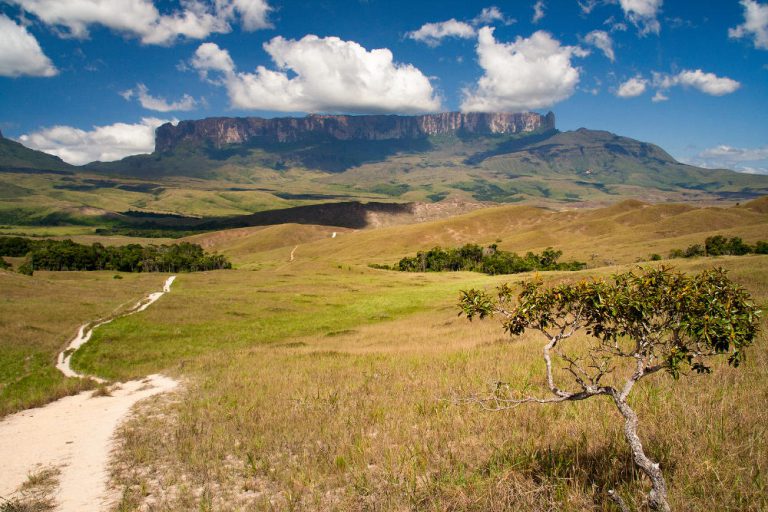 Roraima Table Mountain