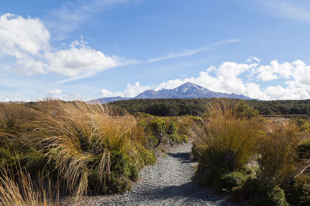 Mount Ruapehu