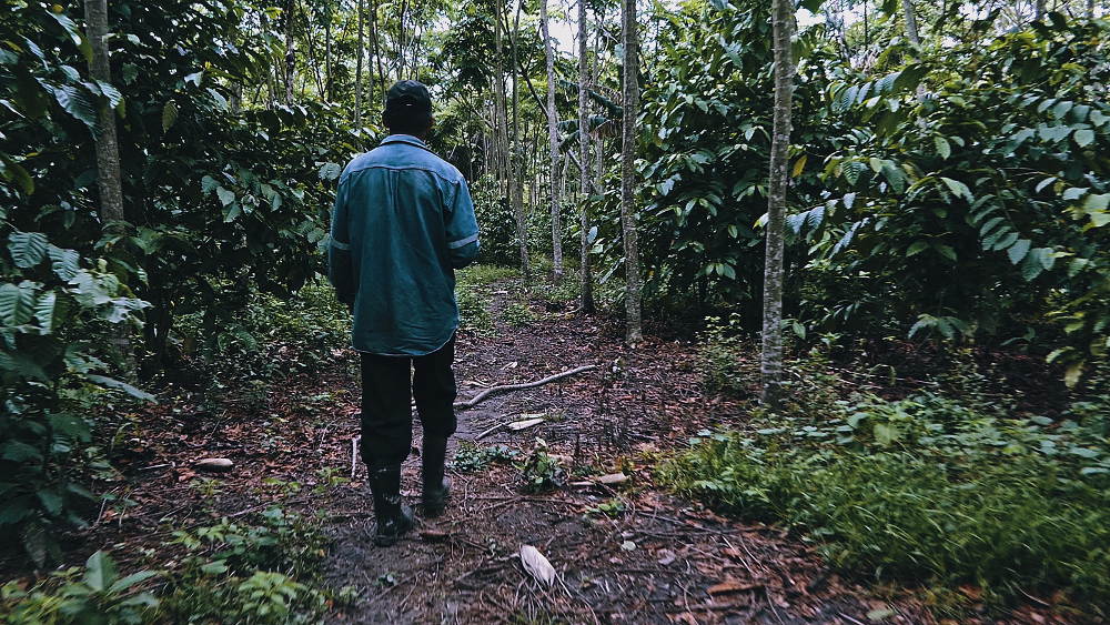 Amboro National Park