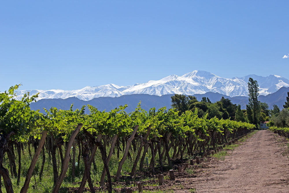 Mendoza