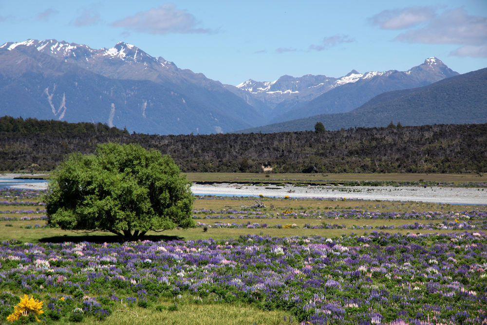 Eglinton Valley