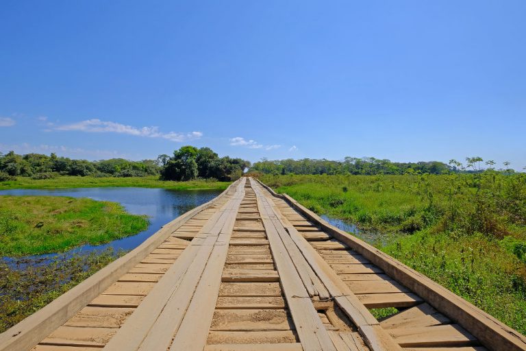 Pantanal